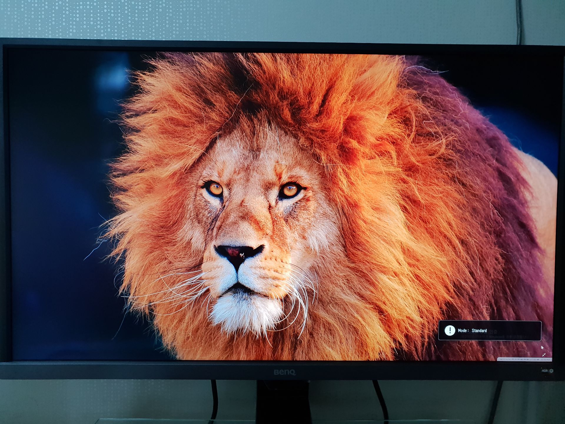 lg 49 super ultrawide monitor