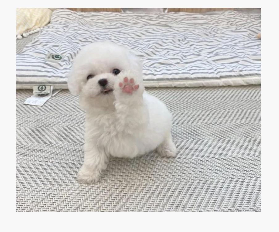 마니아우동 이미지