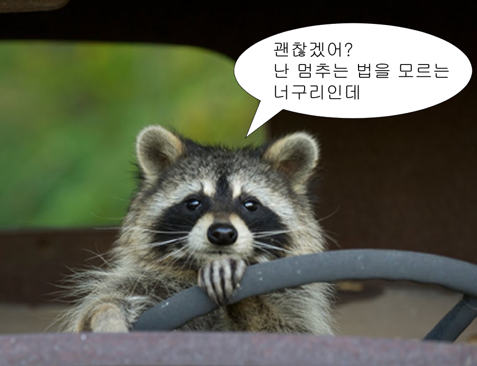 삼거리명품한우 이미지