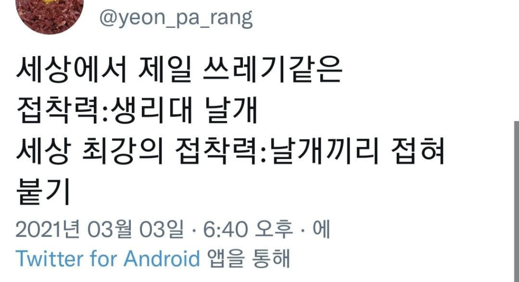 세상에서 가장 강한 접착력은 무엇일까요 | 인스티즈