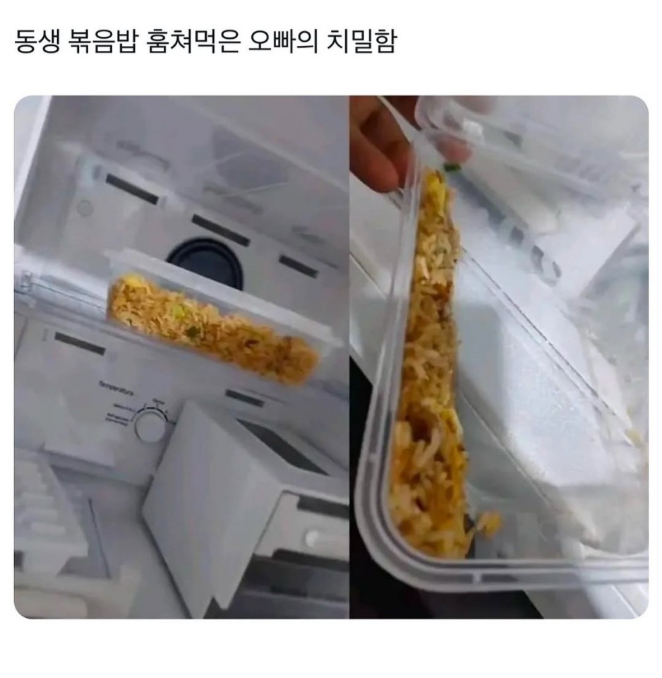 동생 볶음밥 훔먹은 오빠의 치밀함 | 인스티즈