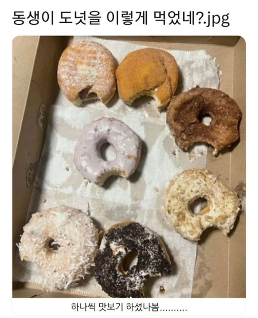 동생이 도넛을 이렇게 먹었네? | 인스티즈